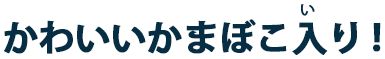 かわいいかまぼこ入（い）り！